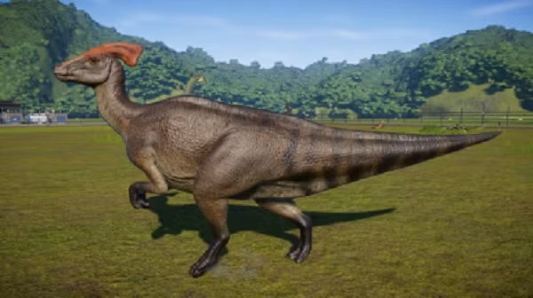 Chúng sử dụng âm thanh tần số thấp như voi để giao tiếp với nhau. Âm thanh này có thể vang xa tới vài km nhưng con người không có khả năng nhận biết.