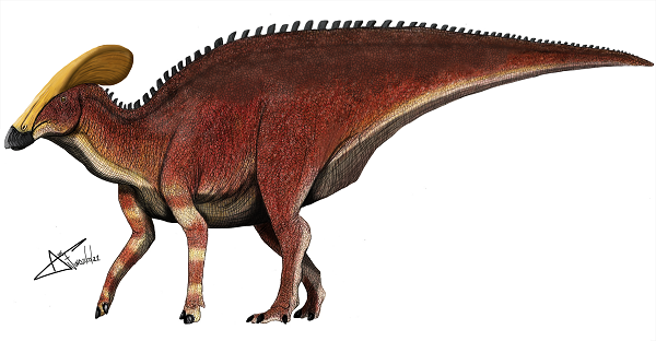 Cũng có thể toàn thân nó có màu đỏ. Trên đầu con khủng long còn có một chiếc mào to đẹp. INAH cho biết: "Đây là trường hợp đặt biệt trong ngành khảo cổ Mexico".