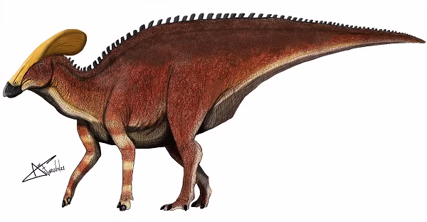 Cũng có thể toàn thân nó có màu đỏ. Trên đầu con khủng long còn có một chiếc mào to đẹp. INAH cho biết: "Đây là trường hợp đặt biệt trong ngành khảo cổ Mexico".