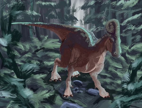 Như vậy, có thể nó to lớn tương đương một con khủng long bạo chúa. Tuy nhiên sinh vật mới này chỉ ăn cỏ.