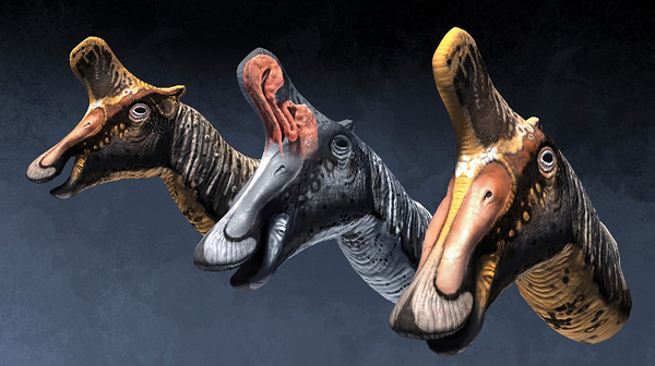 Con khủng long có niên đại 72 triệu năm tuổi này có màu sắc sặc sỡ. Các nhà nghiên cứu nghiêng về giả thuyết nó có bộ da nhiều màu, có chỗ còn có đốm.