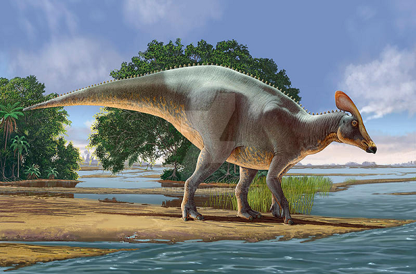 Theo INAH, loài khủng long này "có tai và có khả năng nghe những âm vực thấp, vì vậy chúng có thể là loài khủng long hiền lành và nói nhiều".