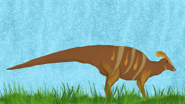 Nhà cổ sinh vật học Angel Alejandro Ramiez, người dẫn đầu nghiên cứu, cho biết họ đang tính toán kích thước của con khủng long. Ước tính sơ bộ nó có thể dài từ 8-12 mét với phần đuôi dài 6 mét.