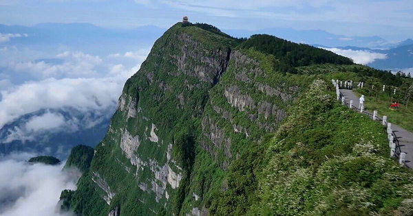 Năm 1983, ba sinh viên đại học từ Côn Minh đã khám phá hang Cửu Lão. Tuy nhiên lại bị mắc kẹt trong hang 14 ngày, sau đó họ may mắn được cứu sống. Chưa đầy một tháng sau, một thanh niên khác cũng gặp nạn và được phát hiện khi ở trong hang tới 15 ngày.