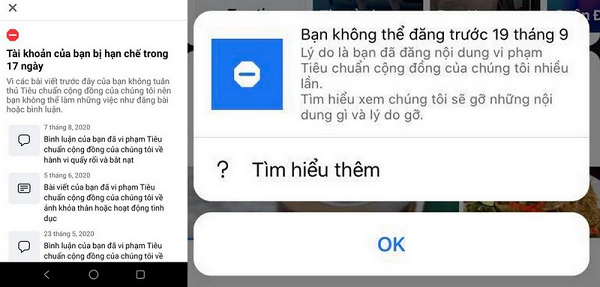 “Chúng tôi đã tạm ngừng tài khoản của bạn. Tài khoản của bạn hoặc hoạt động trên đó vi phạm Tiêu chuẩn cộng đồng của chúng tôi. Chúng tôi sẽ ẩn tài khoản của bạn với mọi người trên Facebook và bạn cũng không thể sử dụng tài khoản của mình”