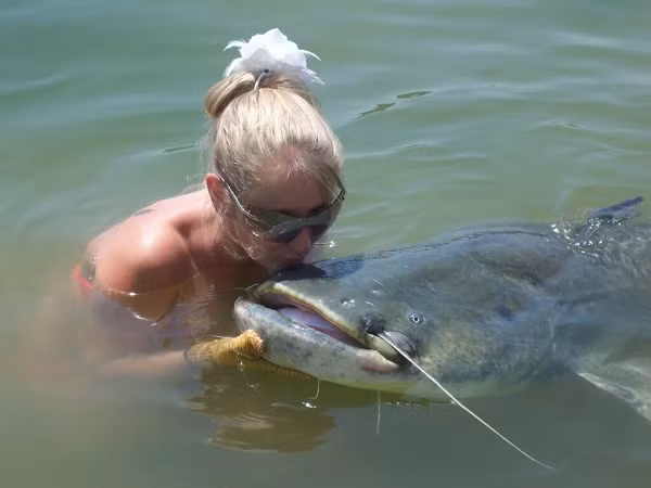 Cá trê khổng lồ là loài cá ăn thịt lớn, chúng có thể ăn mọi thứ từ xác chết, cá bệnh cho đến các động vật sống dưới nước như ếch nhái, ốc, côn trùng,… thậm chí có khi chúng ăn cả rắn, rùa, chuột. v.v ...