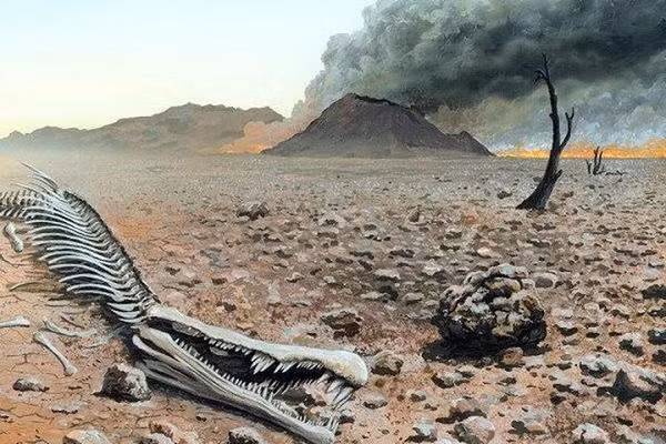 Ngay cả các loài cây vốn có sức chống chọi lớn cũng không thể tồn tại qua sự kiện tuyệt chủng hàng loạt kỷ Permi, một trong những sự kiện mất mát lớn nhất của sự sống Trái đất tính tới nay.