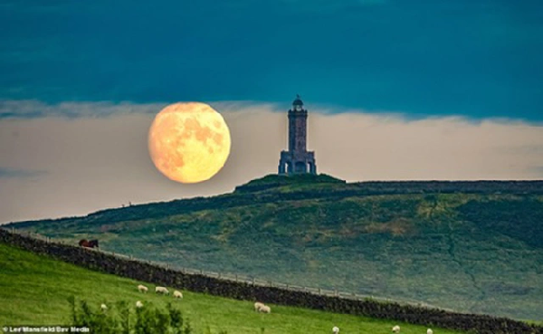 Trăng tròn tháng 8 đặc biệt vào ngày 22/8 được gọi tên là "trăng cá tầm" gọi theo văn hoá dân gian của các bộ lạc người Mỹ bản địa ở New England vì đây là dịp dễ đánh bắt cá tầm nhất.