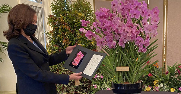 Hoa lan vốn là quốc hoa của Singapore và vì thế Đảo quốc Sư tử này luôn dùng tên những nguyên thủ quốc gia hoặc người nổi tiếng đến thăm đất nước để đặt tên cho một loài hoa lan mới.