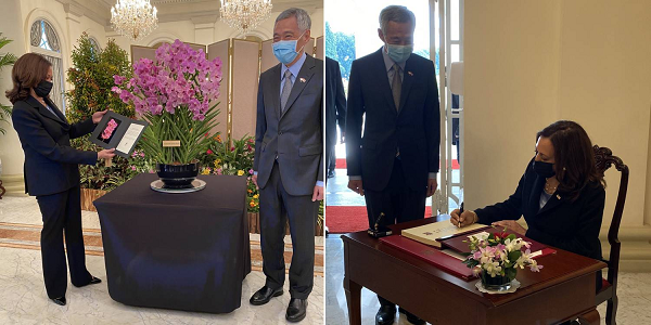 Là một trong những nước dẫn đầu thế giới về nhân giống và bảo tồn hoa lan, Singapore đã tận dụng thành quả này để thể hiện thiện chí, thắt chặt quan hệ ngoại giao với các nước, đồng thời quảng bá hoa phong lan.