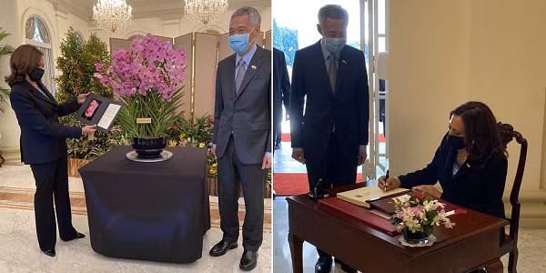 Là một trong những nước dẫn đầu thế giới về nhân giống và bảo tồn hoa lan, Singapore đã tận dụng thành quả này để thể hiện thiện chí, thắt chặt quan hệ ngoại giao với các nước, đồng thời quảng bá hoa phong lan.