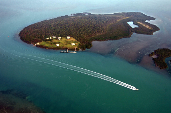 "Điều duy nhất chúng ta có thể làm là giữ mức phát thải càng thấp càng tốt. Rủi ro AMOC sụp đổ gia tăng theo mỗi gram CO2 chúng ta thải lên khí quyển", chuyên gia Niklas Boers của Viện nghiên cứu Tác động khí hậu Postdam ở Đức giải thích.