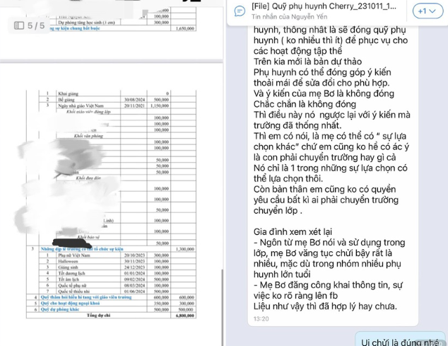 Người mẹ chia sẻ bản thân công việc chưa ổn định, tiền học của con (mỗi bé 2,7 triệu) là do ông bà hỗ trợ nên khoản quỹ 400 nghìn đồng là số tiền không nhỏ với chị. Đáng chú ý, người mẹ bức xúc, có phụ huynh trong nhóm nói nếu bản thân không đồng ý đóng quỹ thì con có thể phải chuyển lớp hoặc thậm chí chuyển trường. Còn nếu nhất định không chuyển thì đồng nghĩa với việc con sẽ phải "ra rìa". Bài viết sau khi được đăng tải đã nhanh chóng thu hút nhiều sự quan tâm của nhiều người theo 2 luồng ý kiến. Đa số mọi người tỏ thái độ bức xúc vì cho rằng đó là khoản quỹ đóng ngoài, tùy thuộc vào kinh tế mỗi gia đình chứ không phải bắt buộc. 