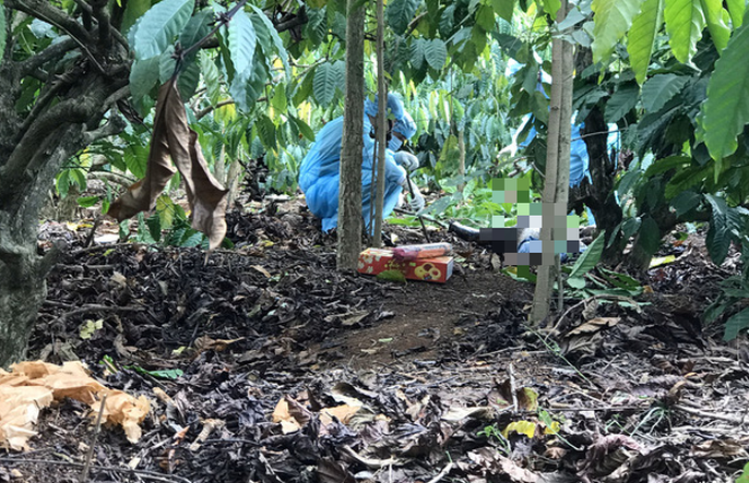 Qua khám nghiệm hiện trường, khám nghiệm tử thi cho thấy, chị H'Nhá tử vong trong khoảng thời gian từ 9h đến 10h ngày 15/10/2018, bị vật tày tác động vào đầu dẫn đến chấn thương sọ não kín, đồng thời bị ngạt hô hấp do ngoại lực tác động vào vùng cổ, không có dấu hiệu bị xâm hại, tài sản (xe máy) không bị mất. Tìm hiểu các mối quan hệ của nạn nhân thì được biết, chị H'Nhá là người hiền lành, không có mâu thuẫn, hiềm khích với ai. (Ảnh minh họa, nguồn internet)