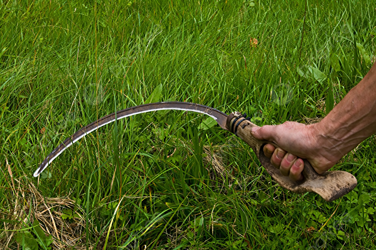 Nhiều người trong buôn Mláh tin rằng ông B.Đ.H. (SN 1957, cha ruột anh Bùi Đình Tuyên) chính là hung thủ sát hại chị H'Nhá. Trong số người cung cấp lời khai liên quan đến ông H., có Ksor Lưn (SN 1968, trú tại buôn Mláh). Lưn cho biết, rẫy nhà ông H. nằm gần nơi phát hiện thi thể chị H'Nhá. Trước đó, ông H. nhiều lần không cho người khác đến rẫy của cha con ông cắt cỏ. Vào thời điểm chị H'Nhá gặp nạn, khi vào rẫy chở củi, Lưn thấy ông H. đi xe máy chở cỏ về. (Ảnh minh họa, nguồn internet)