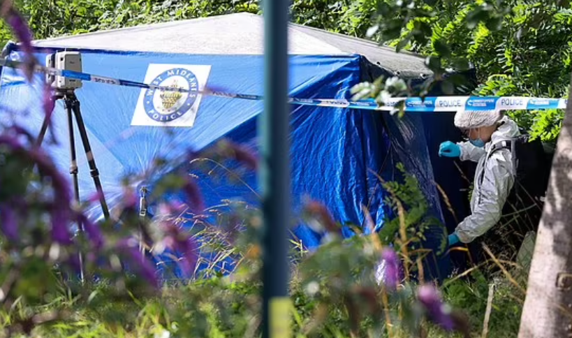 Biet nhan tinh mang thai, nguoi dan ong lam dieu kinh hai