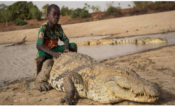 Không có trường hợp thương vong nào được báo cáo trong 70 năm qua.