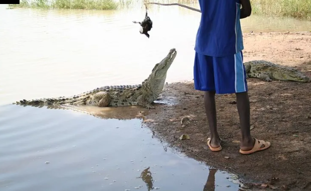 Ngôi làng khi đó đang vật lộn với hạn hán gay gắt và thiếu nước và những người phụ nữ đã theo dõi sự di chuyển của cá sấu để phát hiện ra một cái ao ẩn giấu, nhờ đó cứu được dân làng.