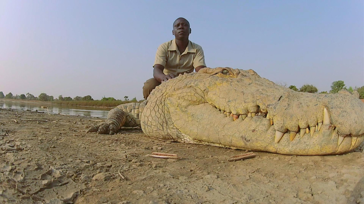 Tuy nhiên, tình bạn đáng kinh ngạc giữa người dân Bazoule và những con cá sấu này đang bị đe dọa, bởi hiện tượng nóng lên toàn cầu đang khiến các vùng nước cạn kiệt, làm giảm đáng kể môi trường sống của cá sấu.