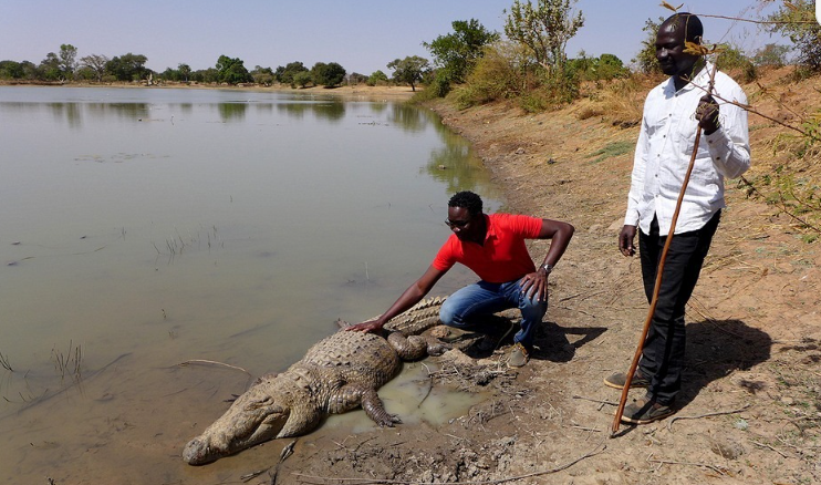 Cụ thể, Koom Lakre là một lễ hội thường niên chỉ có ở Bazoule dành riêng cho những người cùng chung sống với loài bò sát.