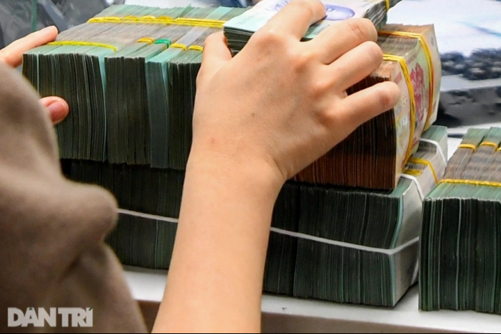 He lo kich ban lua dao vu sam Ngoc Linh, Sen Tai Thu-Hinh-2