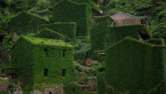 Ngôi làng được bao phủ bởi màu xanh mướt đẹp như tranh.