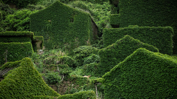 Houtouwan bắt đầu trở nên nổi tiếng trong cộng đồng mạng Trung Quốc vào năm 2015 khi một loạt bức ảnh đầy mê hoặc về ngôi làng hoang vắng này được lan truyền rộng rãi.