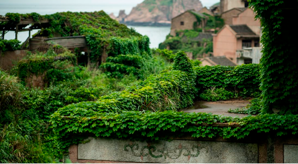 Mùa hè là thời gian tuyệt vời nhất để tham quan ngôi làng này.