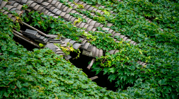 Theo báo chí địa phương, ngôi làng đón 90.000 du khách vào năm 2021, thu về 470.000 USD cho hòn đảo.