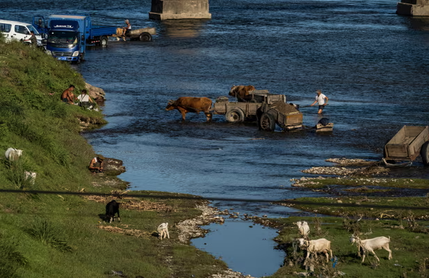 Cảnh thanh bình ở một bờ sông.