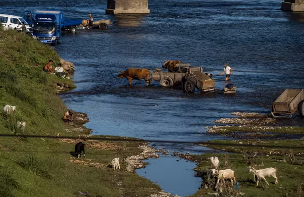 Cảnh thanh bình ở một bờ sông.