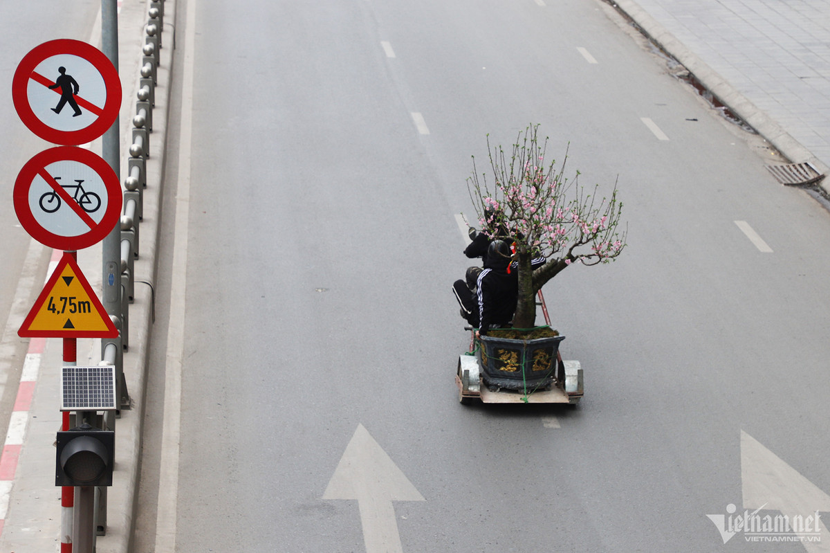 Chị Nguyễn Xuân Hoa (Thanh Xuân Bắc, Thanh Xuân) cho biết, cả năm chỉ vào ngày 30, mùng 1 và mùng 2 Tết đường phố Hà Nội mới có cảnh vắng vẻ như thế này.