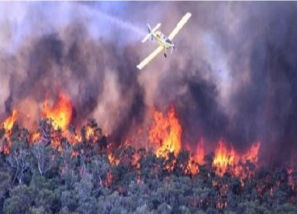 5 vụ cháy rừng kinh hoàng nhất trong lịch sử thế giới - Hình 4 5 vu chay rung kinh hoang nhat trong lich su the gioi-Hinh-4