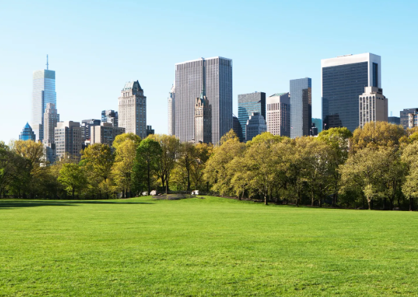 Big Apple (Quả táo lớn) là biệt danh của thành phố New York. Trong nỗ lực thúc đẩy du lịch, hội đồng du lịch New York đã lấy The Big Apple làm biệt danh chính thức cho thành phố này vào năm 1971. Ảnh: Getty.