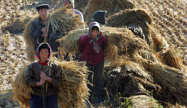Những người nông dân làm việc trên cánh đồng ở ngoại ô thủ đô Bình Nhưỡng. Ảnh: Reuters.