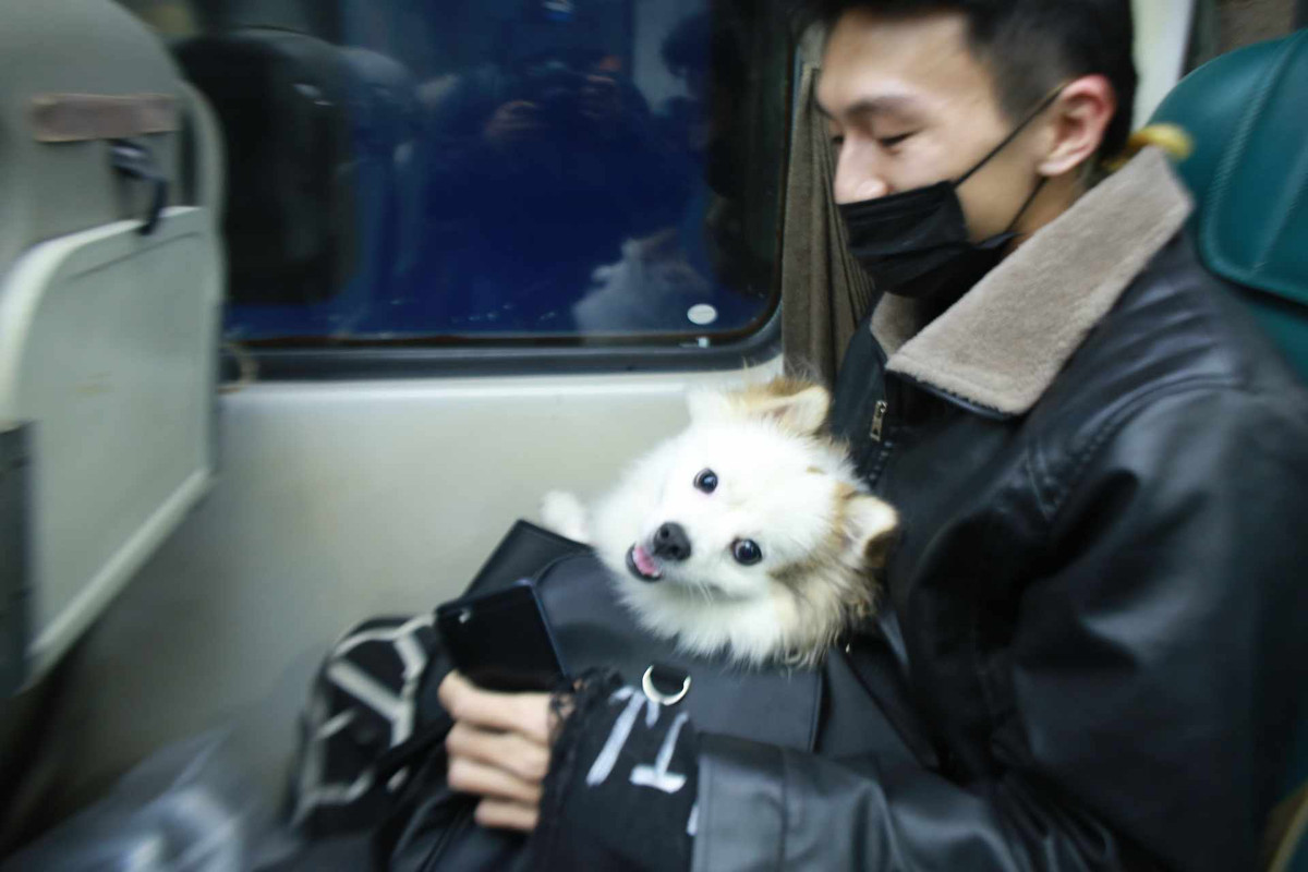 Với những người con xa quê, Tết là khoảng thời gian đặc biệt nhất trong năm. Những chuyến tàu cuối năm lăn bánh cũng là lúc chở bao cảm xúc, nỗi nhớ mong chờ của những người con ở xa về với quê hương. Tiếng hú còi tàu lại vang lên mỗi khi rời ga trong đêm cuối năm se lạnh, hai bên đường khuất dần bóng người và xe cộ lùi dần phía sau. Đoàn tàu lao đi trong màn đêm, tiếp tục sứ mệnh của mình mang Tết đầm ấm, sum vầy cho nhiều gia đình.