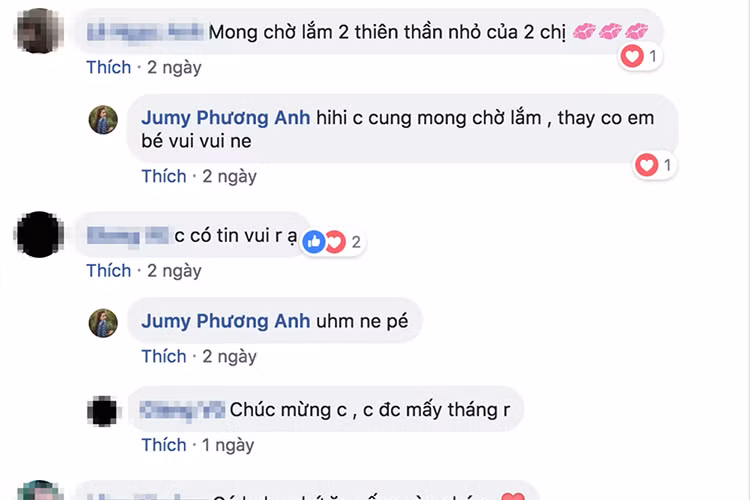 Phương Anh - em gái của Nhã Phương từng được cho là xác nhận tin bầu bí của chị gái khi đáp lại lời bình luận “chờ 2 thiên thần nhỏ của 2 chị”.