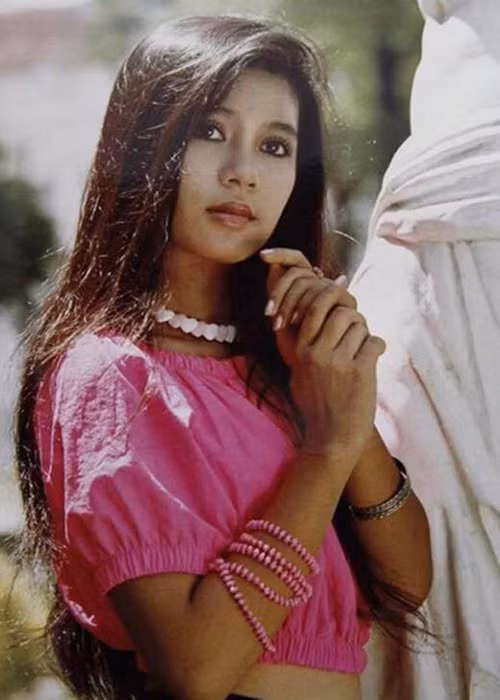 Sau ồn ào đời tư, Việt Trinh lui về ở ẩn. Sau đó, cô kết hôn và sinh con cho một người đàn ông giấu mặt.