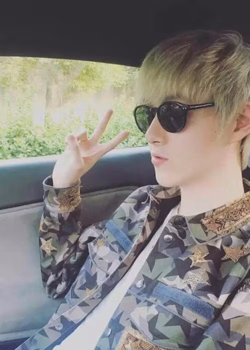 Sự nghiệp của Vương Triết đến nay rất mờ nhạt.