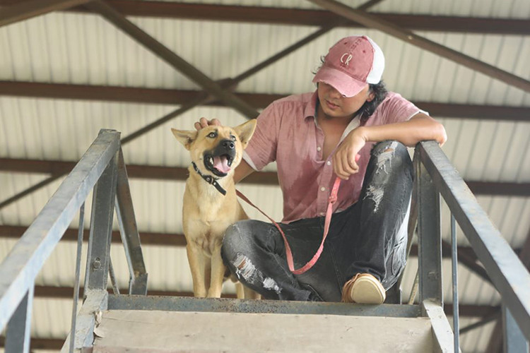 Nhiều người tò mò danh tính đạo diễn quyết tâm chọn chú chó Nhật Bản đóng vai "Cậu Vàng".