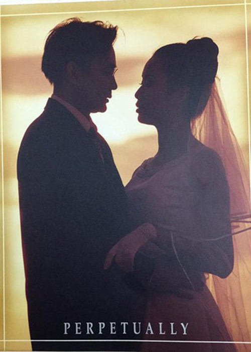 Doanh nhân Việt kiều Mỹ Võ Trấn Phương chính là ông xã của Trịnh Kim Chi.