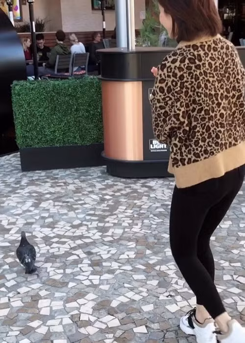 Cuộc sống hiện tại của An Nguy dường như khá bình yên.