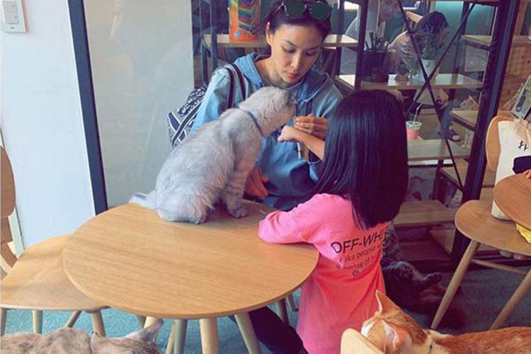 Vợ chồng Jang Dong Gun và Go So Young hiện có hai nhóc tì: 1 trai, 1 gái đều được giấu mặt.