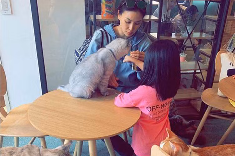 Vợ chồng Jang Dong Gun và Go So Young hiện có hai nhóc tì: 1 trai, 1 gái đều được giấu mặt.