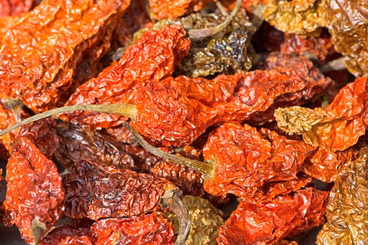 9. Ớt Bhut Jokolia: Nếu bạn đang đi du lịch ở Đông Bắc Ấn Độ, Bangladesh, phải rất cẩn thận nếu ai đó cố gắng để cám dỗ bạn với cà ri có chứa loại ớt Bhut Jokolia. Nó còn được gọi là "Ghost Pepper" – đúng như những gì bạn sẽ cảm thấy ngay sau nếm nó, vì nó được đánh giá có độ cay hơn 1 triệu SHU.