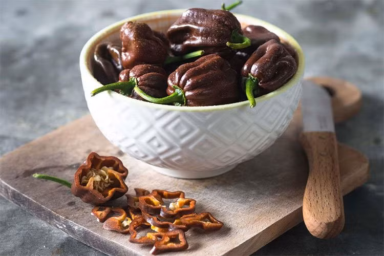 8. Ớt Chocolate Habanero (Mỹ): Loại ớt này có dạng hình cầu, dài 5 cm màu nâu chocolate, còn được gọi là Habanero đen tối, do màu sắc của chúng. Về mặt ẩm thực, đây là loại ớt tiêu hấp dẫn có mùi khói độc đáo được chế biến trong nhiều món đặc sản của Mexico và Jamaica. Loại ớt này có độ cay khoảng , 425.000-577.000 SHU.