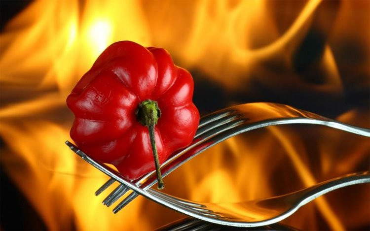 7. Ớt Red Savina: Loại ớt Red Savina được phát triển từ giống ớt habanero nổi tiếng, để thành loại ớt cay hơn (liệu những người này có mất trí không nhỉ). Đặc trưng bởi màu đỏ đậm, loại ớt này có độ cay khoảng từ 250.000 và 450.000 SHU.