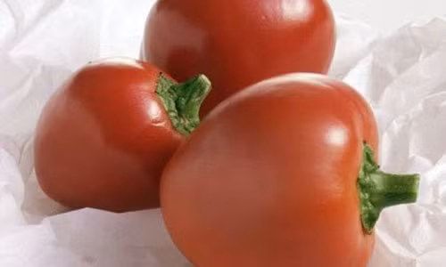 1. Ớt anh đào pimiento: Giống ớt anh đào Pimiento – thường được tìm thấy trong món nhồi ô liu xanh Tây Ban Nha – độ cay 100-900 SHU.
