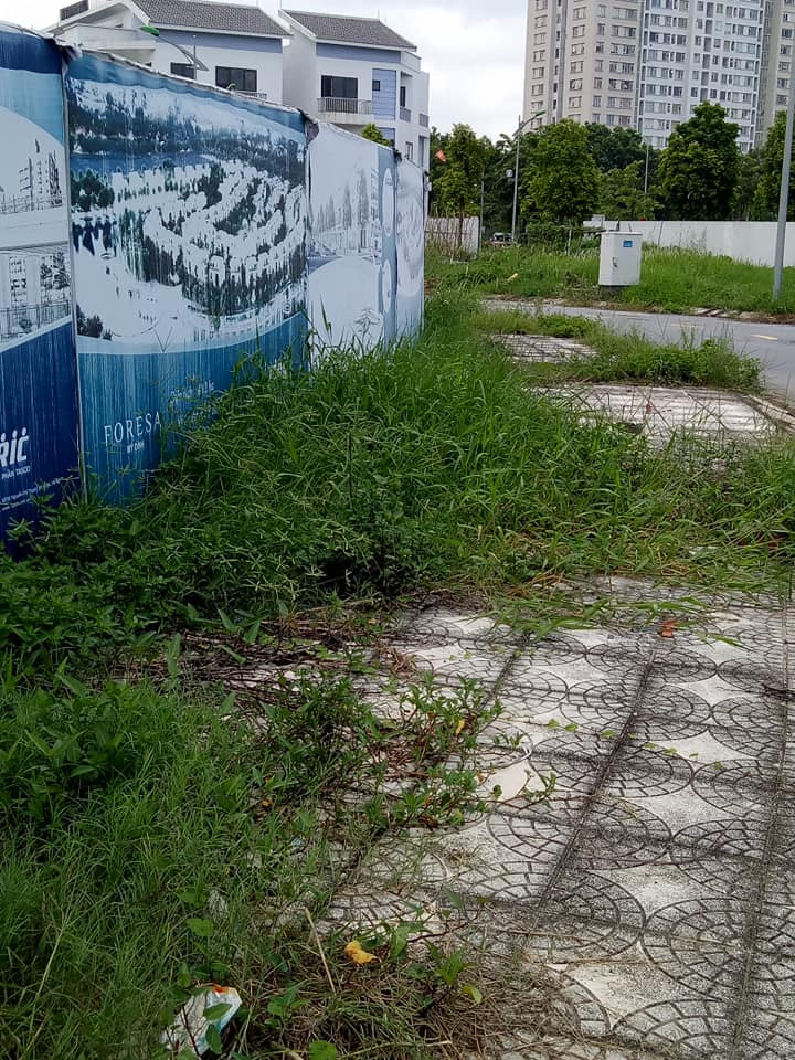 Hoang lanh du an “nha thu truong” cua Song Da 7, co vuot dau nguoi-Hinh-2