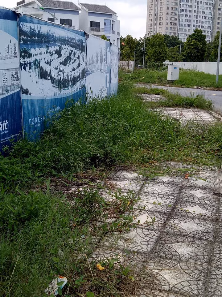 Hoang lanh du an “nha thu truong” cua Song Da 7, co vuot dau nguoi-Hinh-2